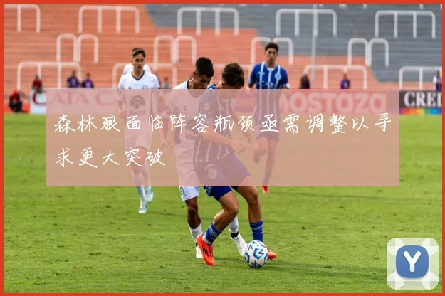 森林狼面临阵容瓶颈亟需调整以寻求更大突破