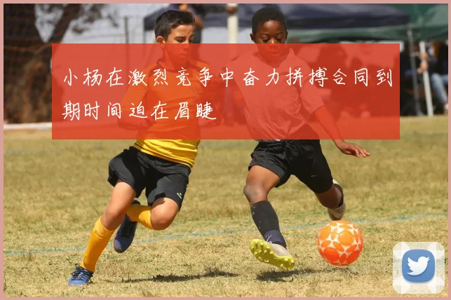 小杨在激烈竞争中奋力拼搏合同到期时间迫在眉睫