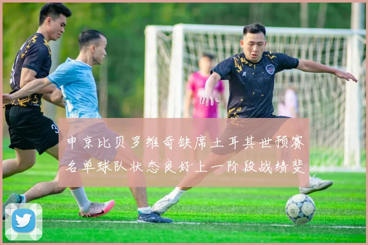 申京比贝罗维奇缺席土耳其世预赛名单球队状态良好上一阶段战绩斐然